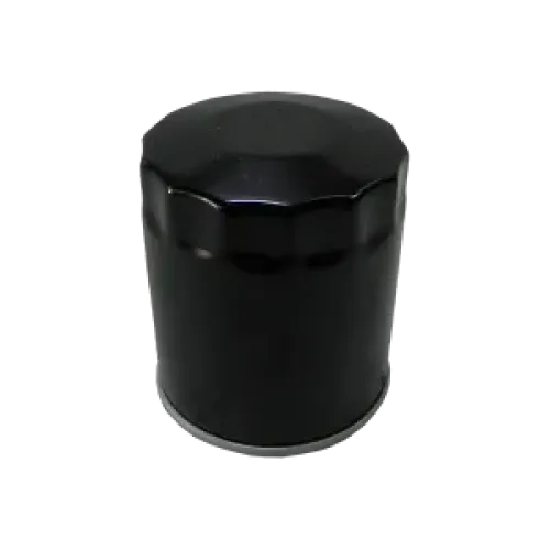 Фильтр масляный BYD S6 MT 2.0L 1013444300