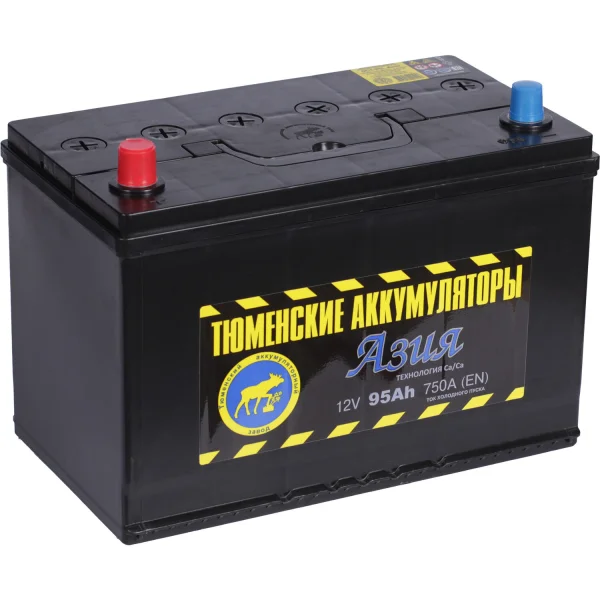 Tyumen Battery АКБ Tyumen Battery Asia 95Ач п/п D31R
