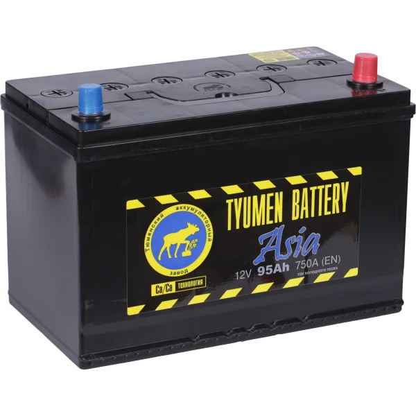 Tyumen Battery АКБ Tyumen Battery Asia 95 Ач о/п D31L